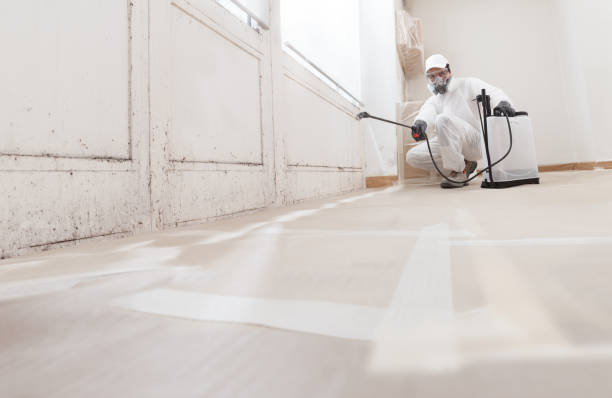 24/7 Emergency Basement Mold Remediation experts in Columbia, TN