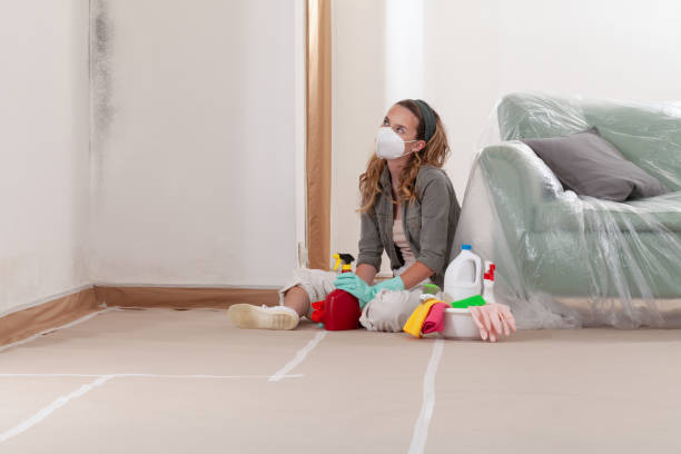 Reliable Basement Mold Remediation contractor in Columbia, TN by 24 Hour Mold Removal